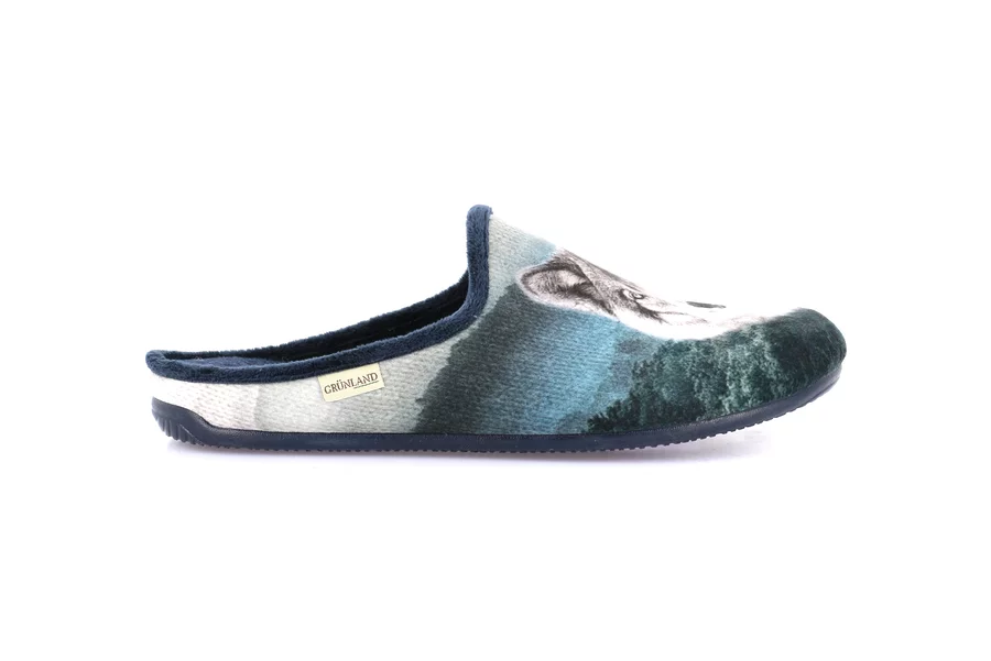 Men's printed slipper | ORMI CI3190 - BLU-MULTI | Grünland