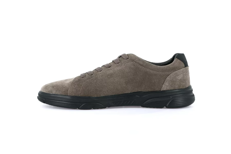 Schnürschuh für Herren | BITT SC4334 - TAUPE | Grünland